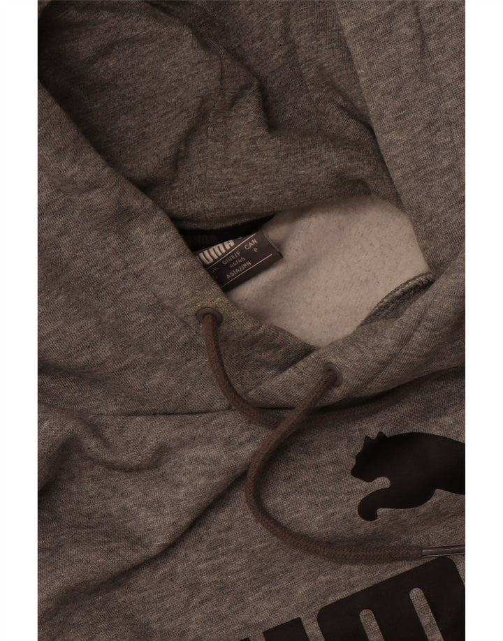 Pulover pentru bărbați Puma Graphic Hoodie, mic, gri