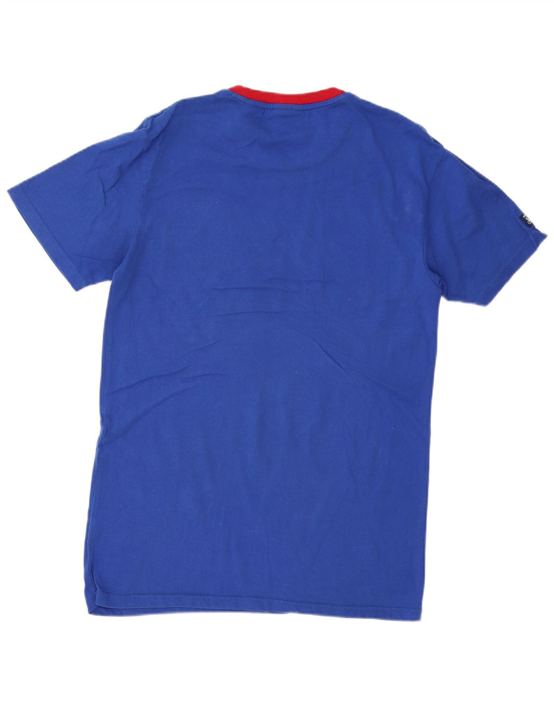 Tricou grafic pentru bărbați Superdry Top mic, albastru, bumbac