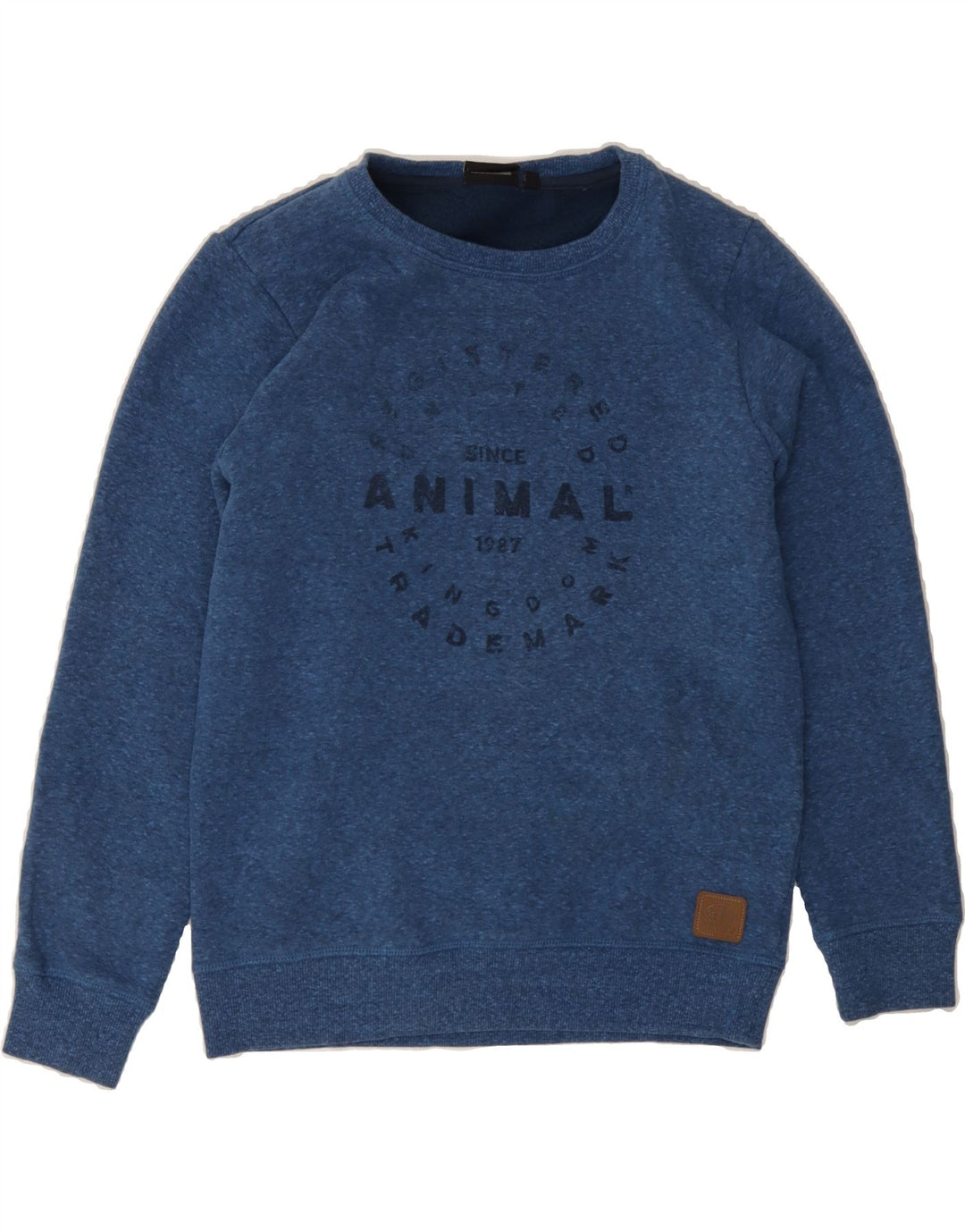 ANIMAL Boys Graphic Sweatshirt Jumper 11-12 Years Blue Polyester Vintage Animal and Second-Hand Animal from Messina Hembry 