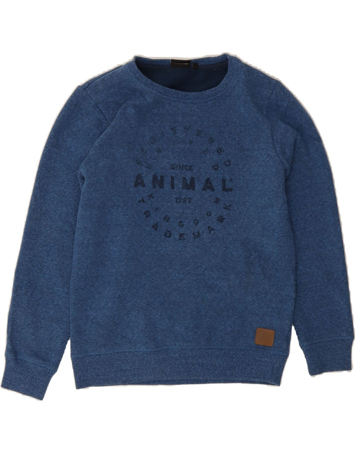 ANIMAL Boys Graphic Sweatshirt Jumper 11-12 Years Blue Polyester Vintage Animal and Second-Hand Animal from Messina Hembry 