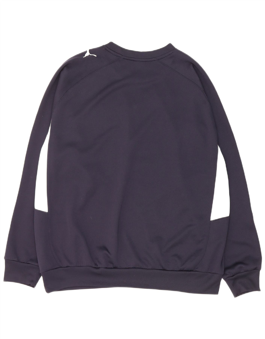 Pulover grafic pentru bărbați Puma, XL, poliester bleumarin