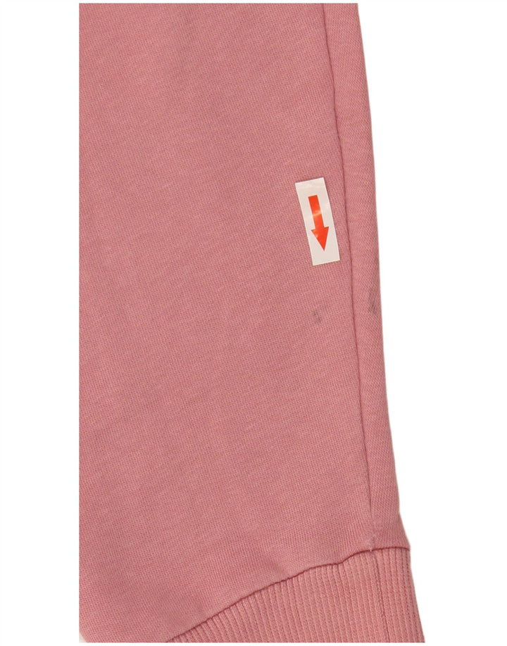 Pulover pentru bărbați Puma Graphic Hoodie, roz mediu