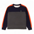 Pulover pentru bărbați Lacoste Mărimea 8 3XL Bumbac color bloc de culoare gri