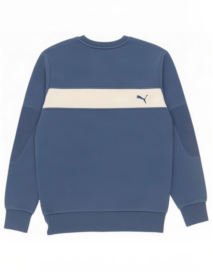 Pulover grafic pentru bărbați Puma, albastru, color block
