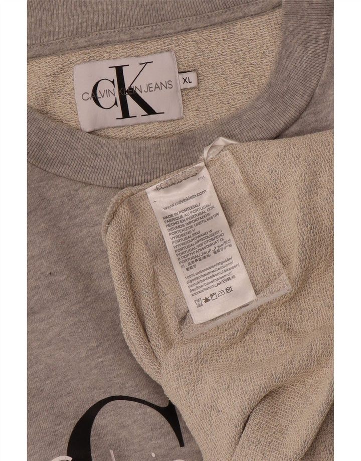 CALVIN KLEIN JEANS Pulover pentru damă cu grafică, UK 18 XL, bumbac gri