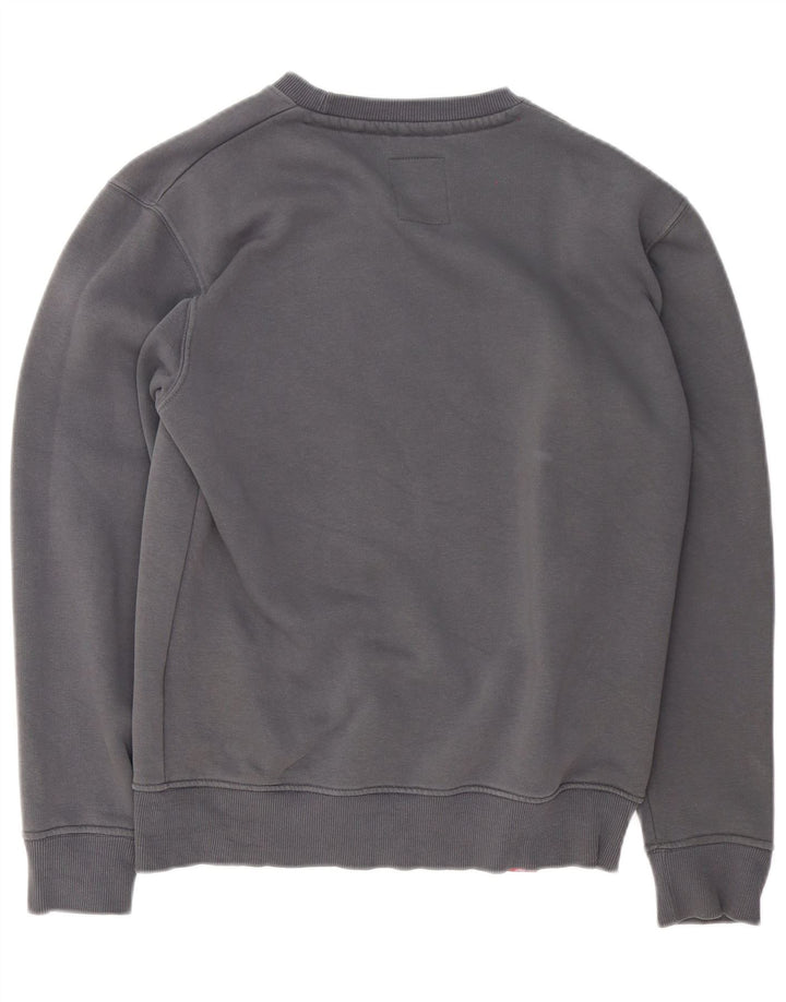 Hanorac grafic pentru bărbați Alpha Industries Pulover mic, gri, bumbac