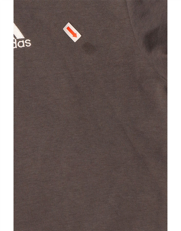 Hanorac pentru bărbați Adidas Jumper Mic Gri
