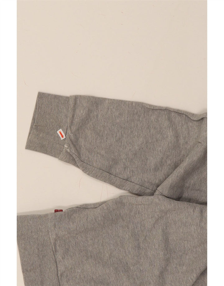 LEVI'S Mens Graphic Hoodie Jumper Large Grey Cotton Vintage Levi's and Second-Hand Levi's from Messina Hembry 