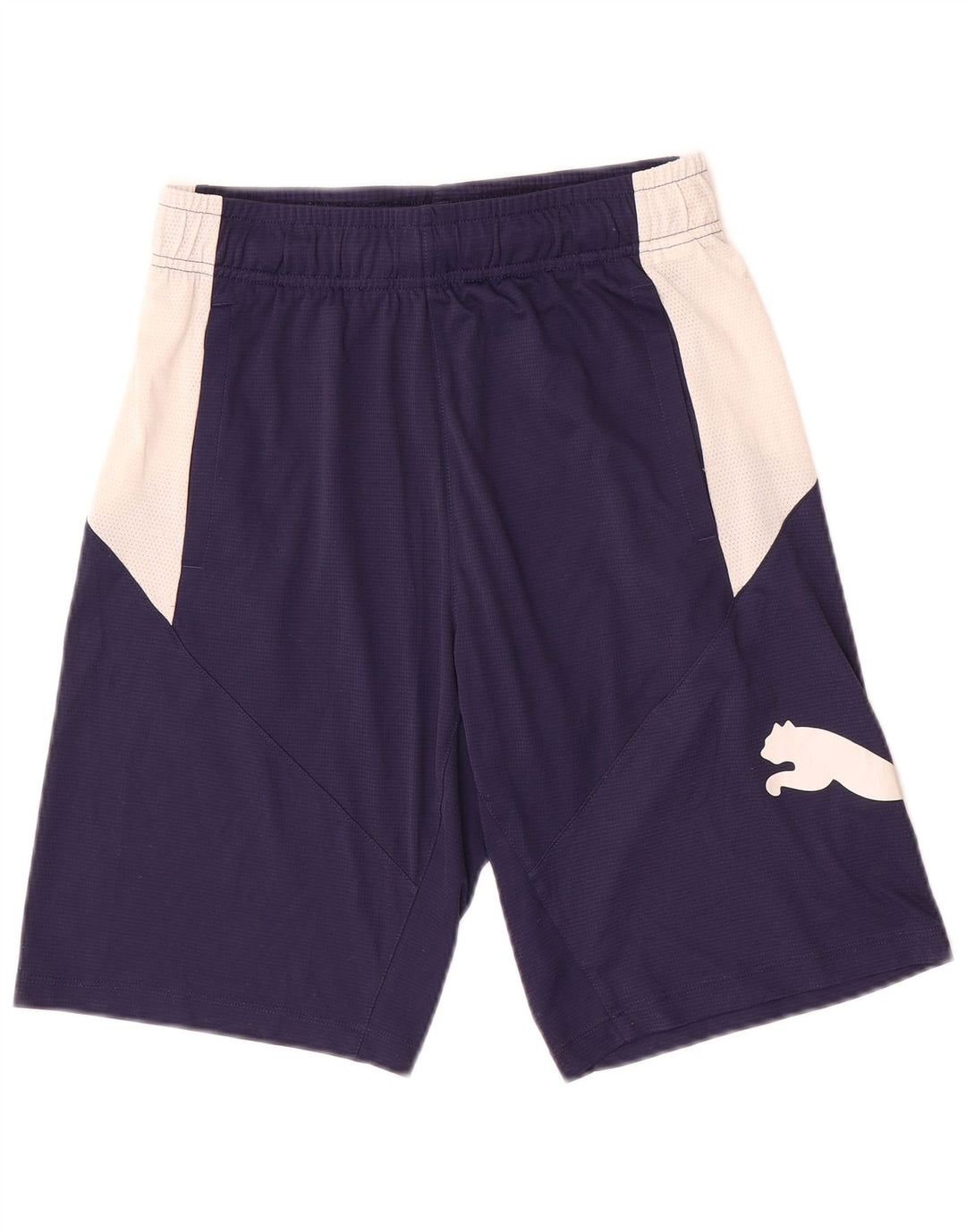 Pantaloni scurți sport grafic Puma pentru bărbați, mici, bleumarin, color block