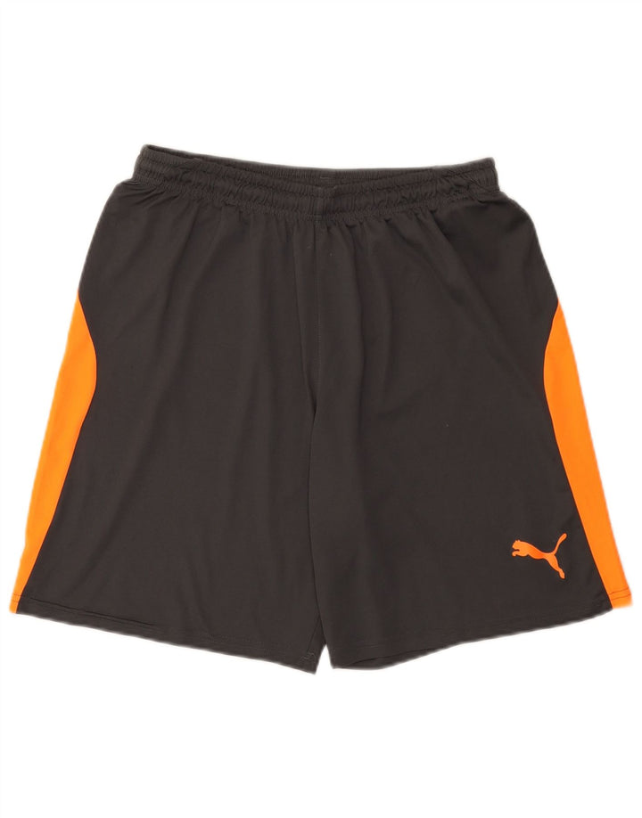 Pantaloni scurți sport Puma pentru bărbați, gri mediu, poliester color bloc