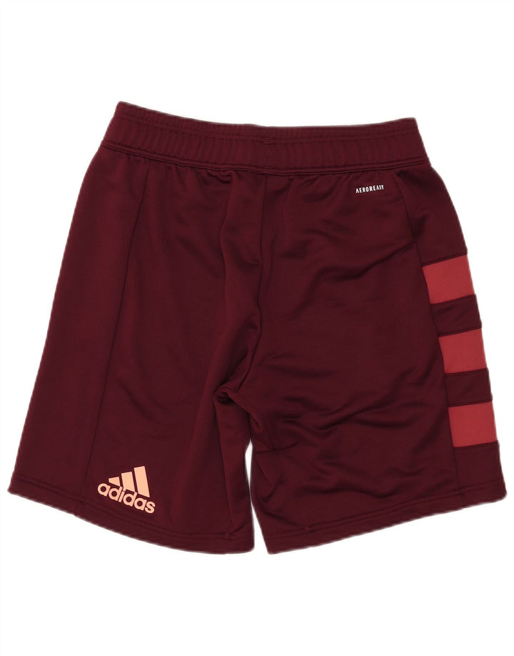 Pantaloni scurți sport pentru rugby ADIDAS Munster pentru bărbați, maro mediu, poliester bloc de culoare