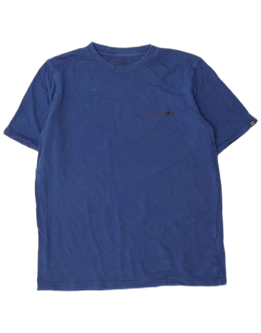 Tricou pentru bărbați Berghaus Top mare, albastru, bumbac