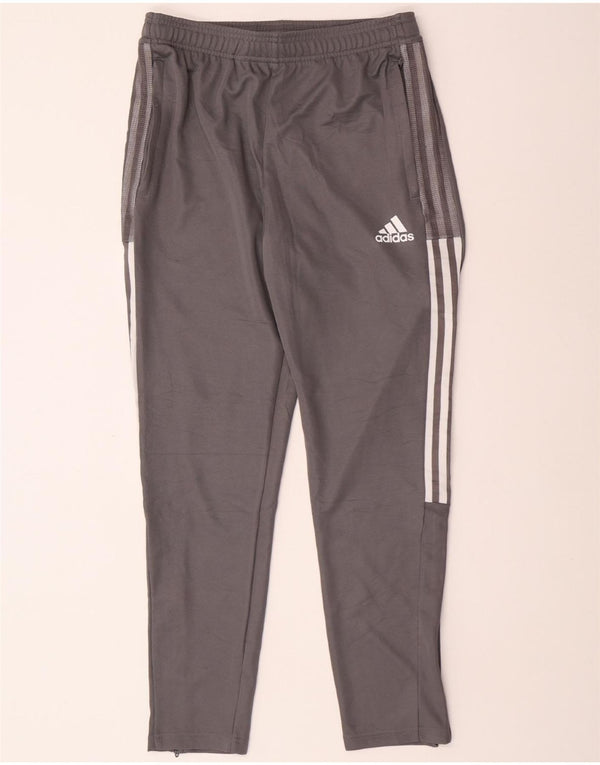 Pantaloni de trening ADIDAS Aeroready pentru bărbați, gri mediu