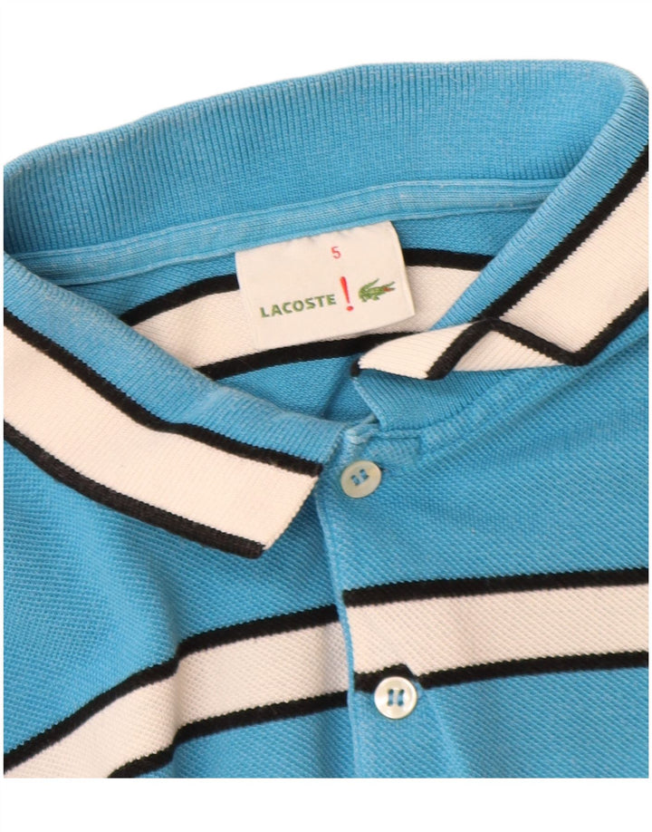Tricou polo Lacoste pentru bărbați mărimea 5 mare, bumbac cu dungi albastre