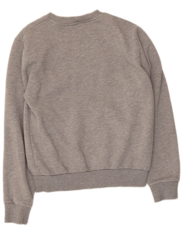 Hanorac grafic pentru bărbați Penguin Jumper mic, gri, bumbac
