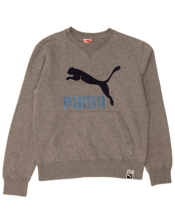Puma Mens Graphic Sweatshirt Jumper Medium Grey Flecked