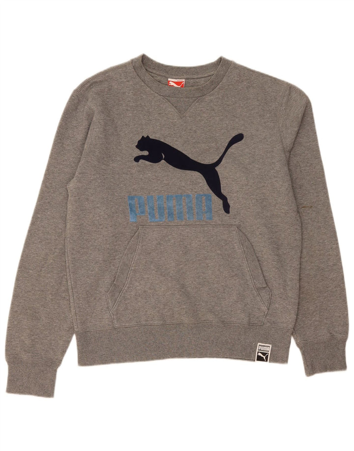 Pulover cu grafică Puma pentru bărbați, gri mediu pestat