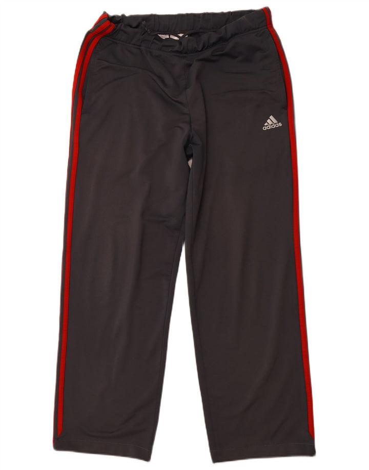 Pantaloni de trening ADIDAS pentru bărbați, gri mediu, poliester