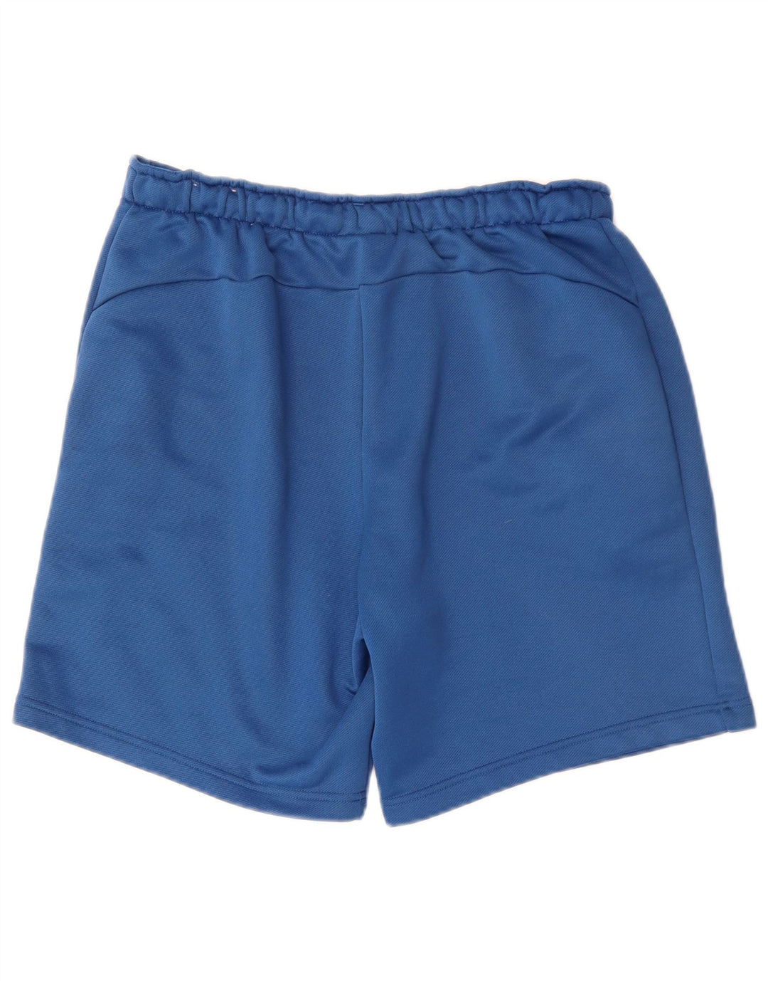 Pantaloni scurți sport grafic Puma pentru bărbați, mari, albastru
