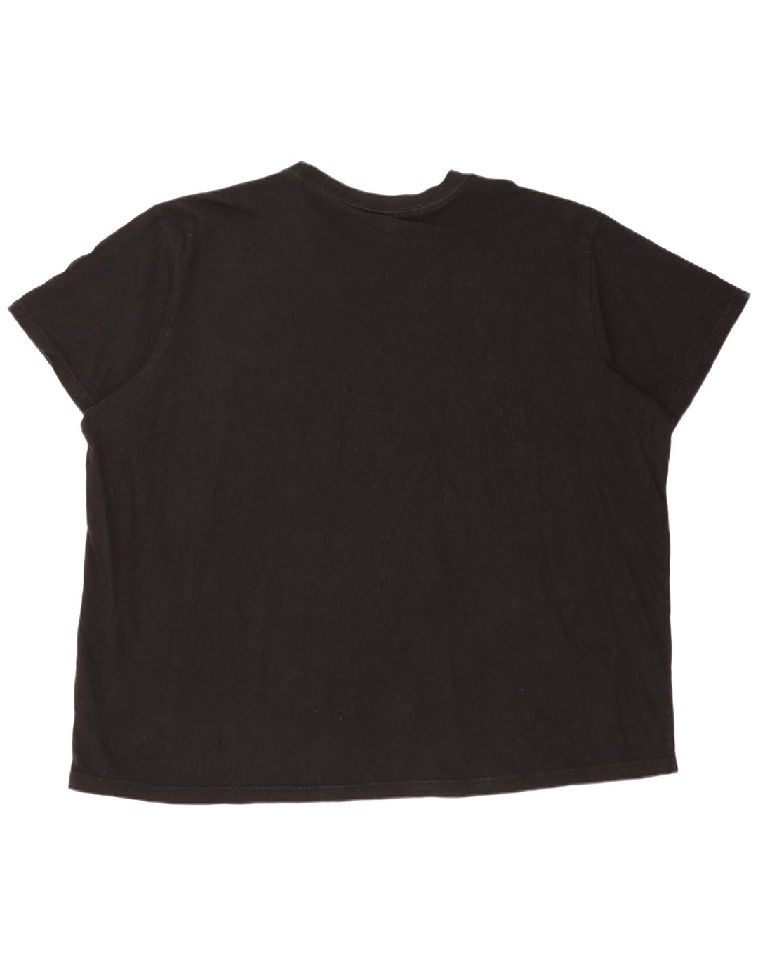 Tricou pentru bărbați Dickies Top 4XL bumbac negru