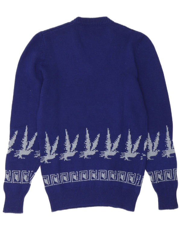 Pulover vintage pentru bărbați cu decolteu în V, mic albastru Fair Isle