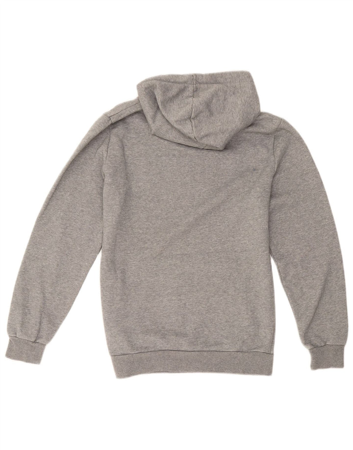 Pulover pentru bărbați Puma Graphic Hoodie Jumper mic, gri, bumbac