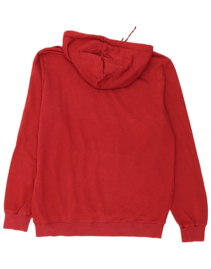 Pulover pentru bărbați Puma Graphic Hoodie, Medium Burgundy
