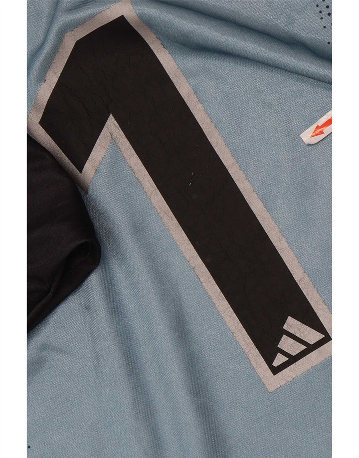 Top grafic pentru bărbați Adidas cu mânecă lungă, mare, albastru, poliester color bloc