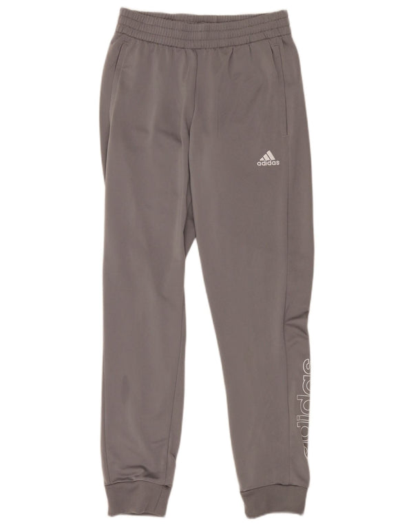 Pantaloni de trening cu grafic pentru bărbați Adidas Pantaloni de jogging Mici, gri, poliester