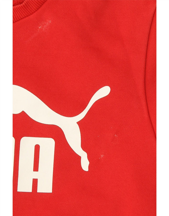 Puma Băieți Pulover Grafic Pulover 13-14 Ani Bumbac Roșu