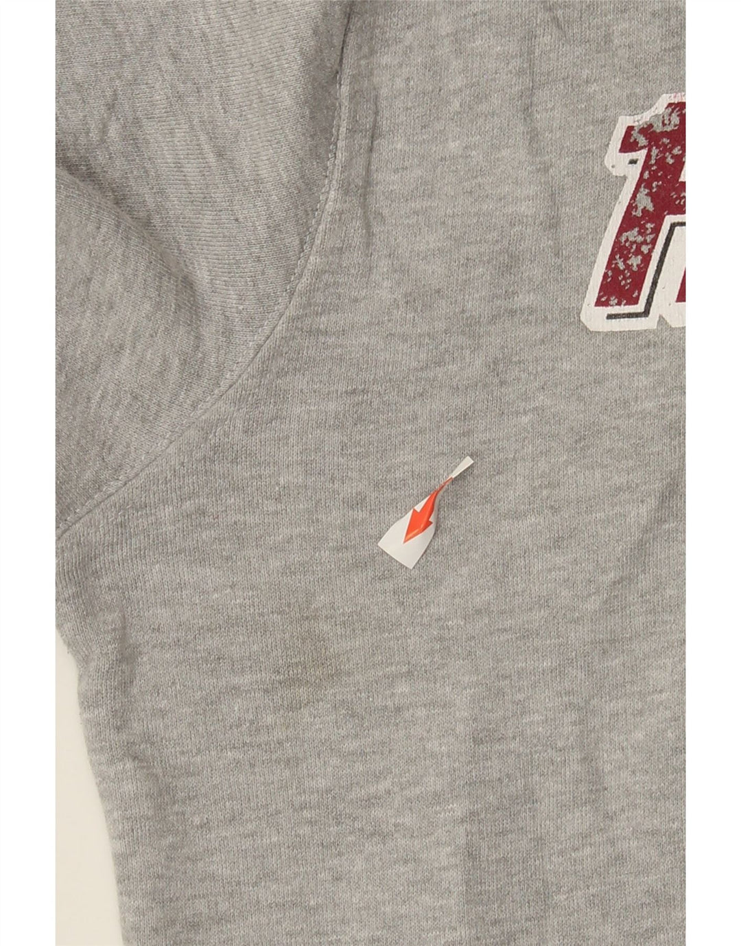 Hard Rock Cafe pentru bărbați Brussels Distressed Hoodie Jumper Medium Gri Pete