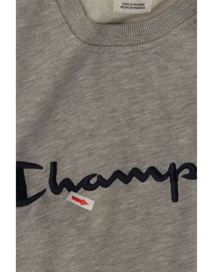 Pulover cu grafic pentru bărbați Champion, 2XL, bumbac cu pete gri