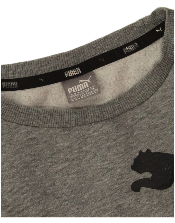 Puma Băieți Pulover Grafic Pulover 13-14 Ani Bumbac Gri