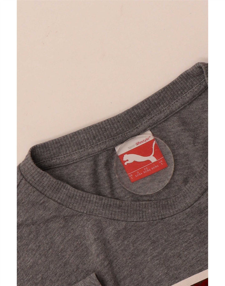 Tricou grafic Puma pentru bărbați Top mare gri