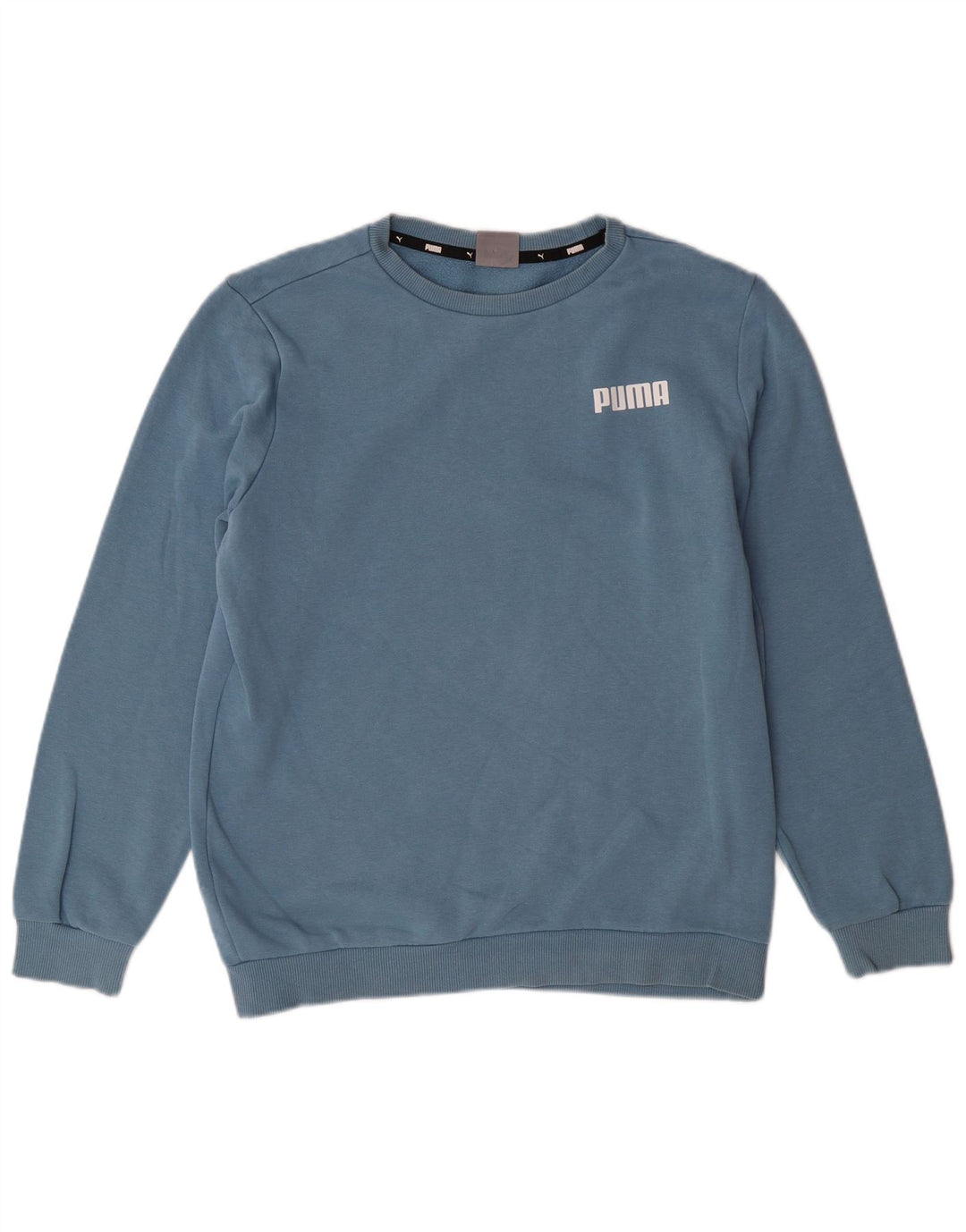 Hanorac pentru bărbați Puma Jumper mic, albastru, bumbac