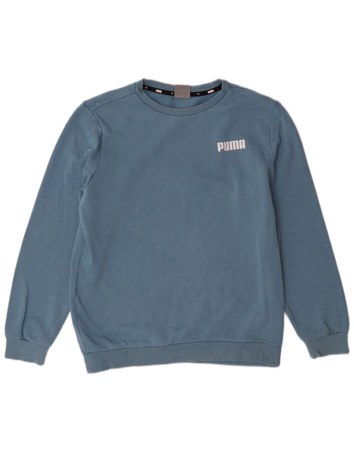 Hanorac pentru bărbați Puma Jumper mic, albastru, bumbac