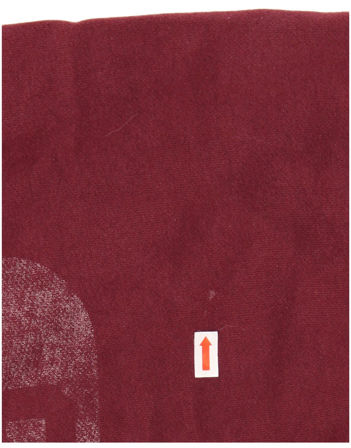 SUPERDRY Hanorac grafic pentru bărbați Pulover Medium Burgundy Bumbac