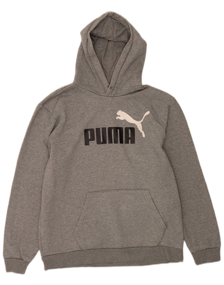 Pulover pentru bărbați Puma Graphic Hoodie, mare, gri