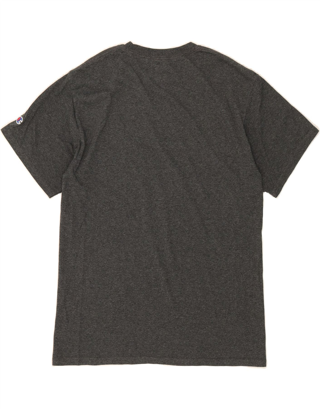CHAMPION Mens Graphic T-Shirt Top Medium Grey Cotton Vintage Champion and Second-Hand Champion from Messina Hembry 