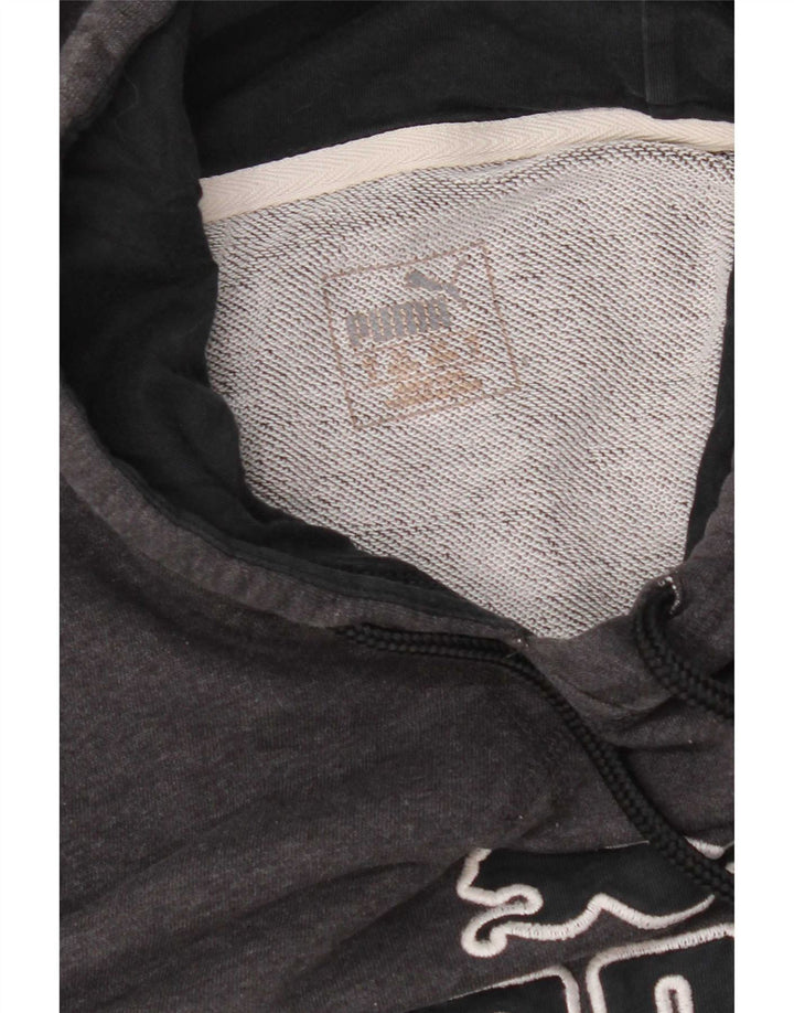 Pulover pentru bărbați Puma Graphic Hoodie, gri mediu