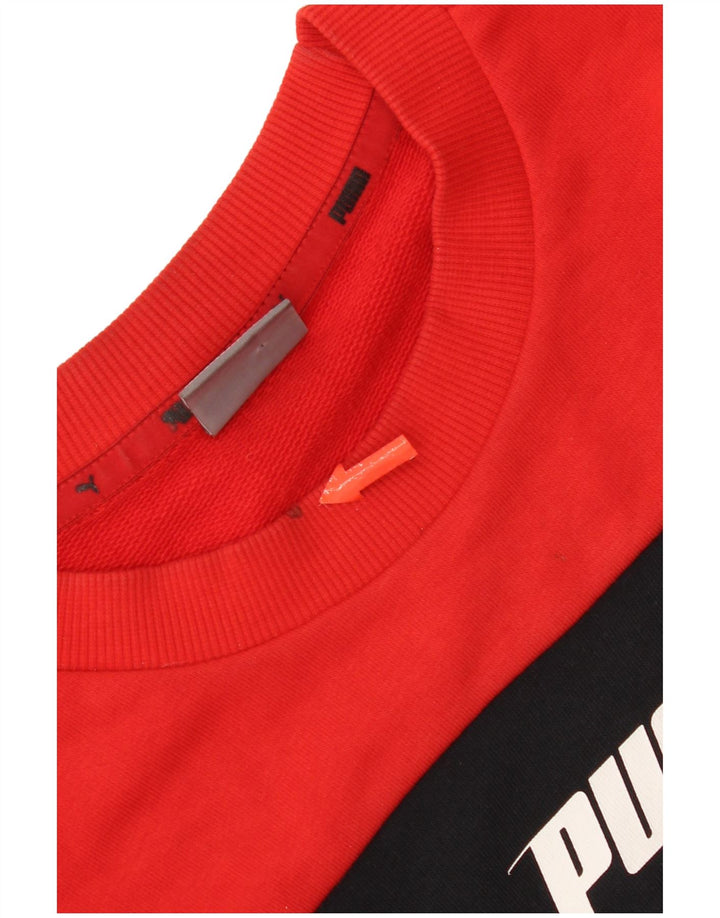 Hanorac grafic pentru bărbați Puma Jumper mic, roșu, bumbac color bloc