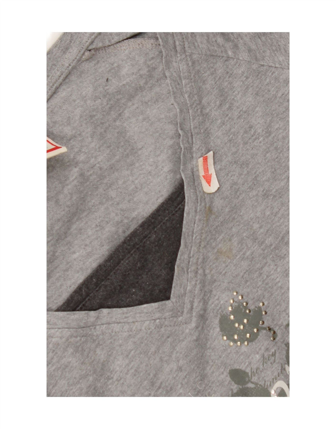 Champion pentru femei Heritage Fit Graphic Top cu mânecă lungă UK 12 Medium Gri