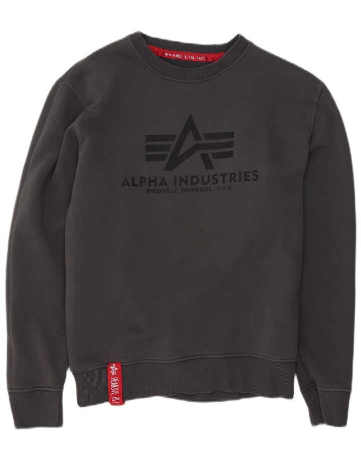 Hanorac grafic pentru bărbați Alpha Industries Pulover mic, gri, bumbac