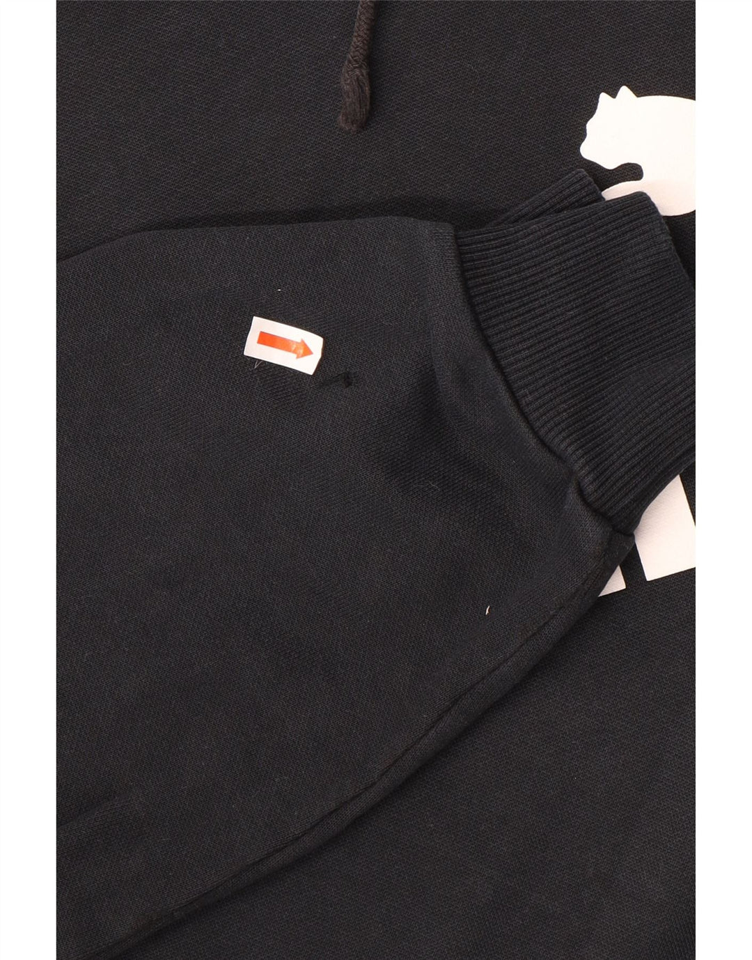 Pulover pentru bărbați Puma Graphic Hoodie Jumper mare, negru, bumbac