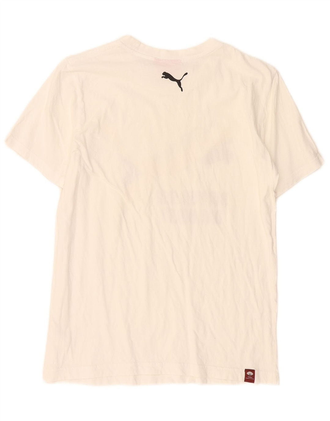 Tricou grafic Puma pentru bărbați Top Small White