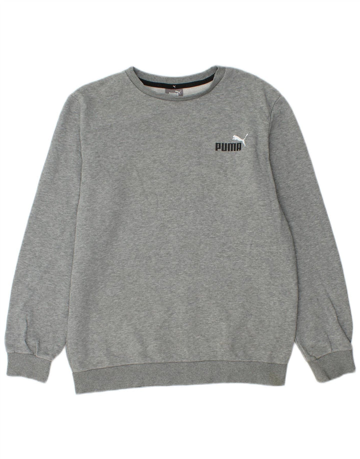 Hanorac pentru bărbați Puma Jumper mic, gri, bumbac cu pete