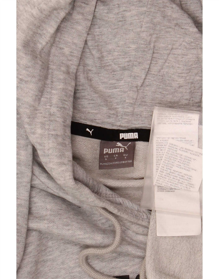 Pulover pentru bărbați Puma Graphic Hoodie Jumper mic, gri, bumbac