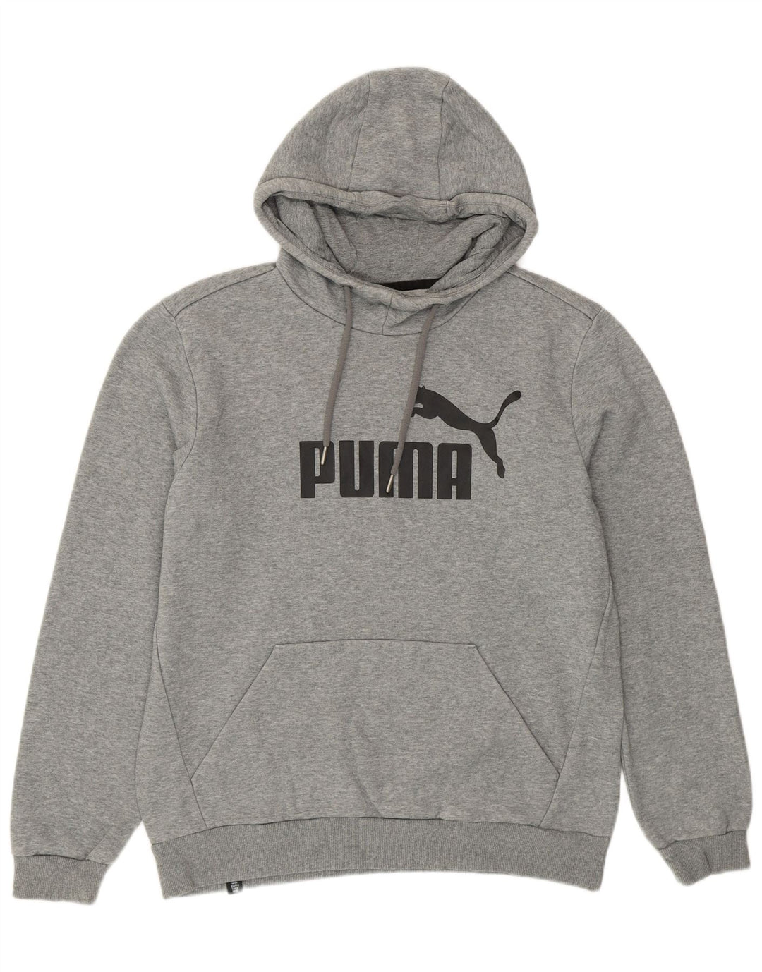 Pulover pentru bărbați Puma Graphic Hoodie, bumbac cu pete, gri mediu
