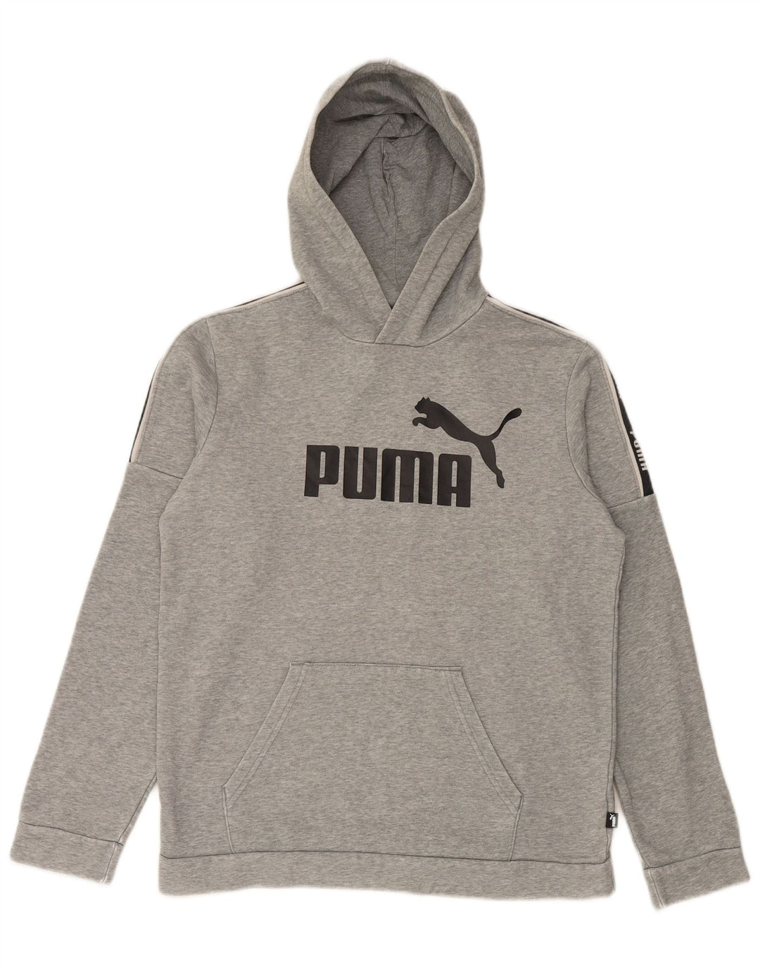 Pulover cu glugă cu grafic PUMA pentru băieți 15-16 ani, bumbac gri