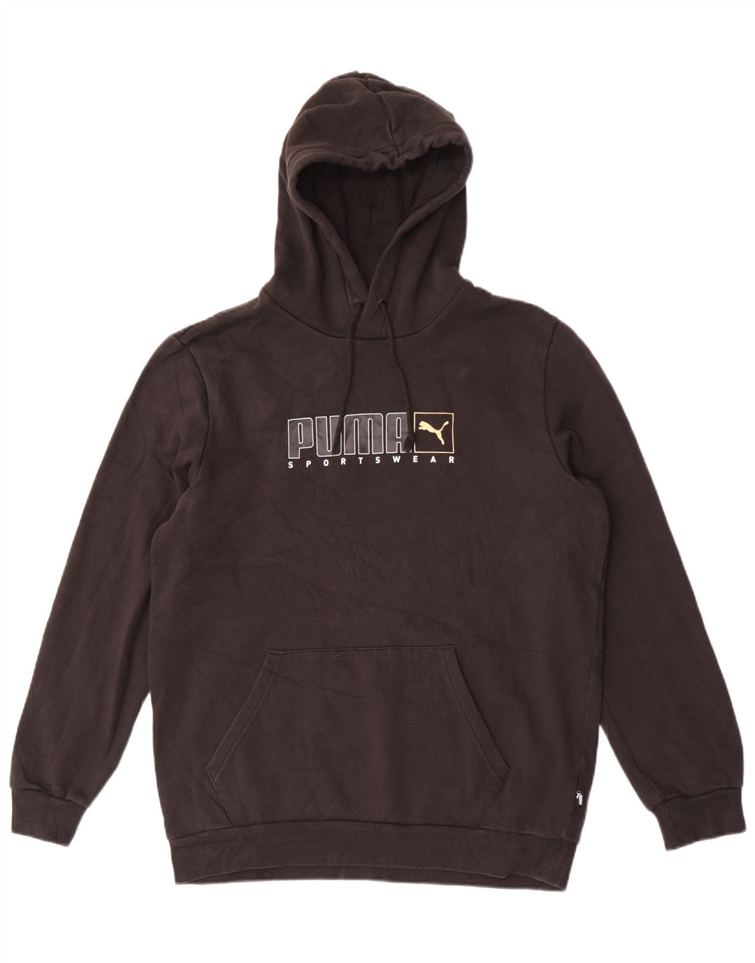 Pulover pentru bărbați Puma Graphic Hoodie, bumbac mediu negru